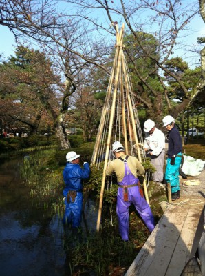 hassho-en201311124