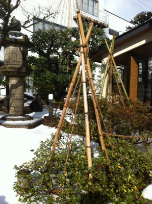 hassho-en201312205