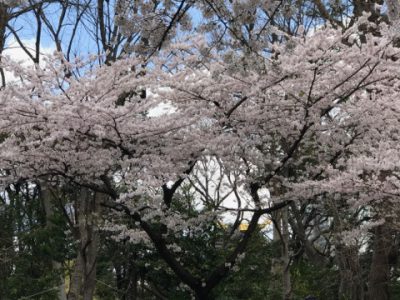 egao201704062