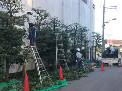 hassho-en201709217