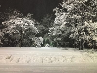 hassho-en201801131