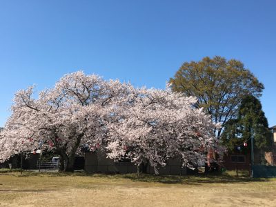 hassho-en201904144